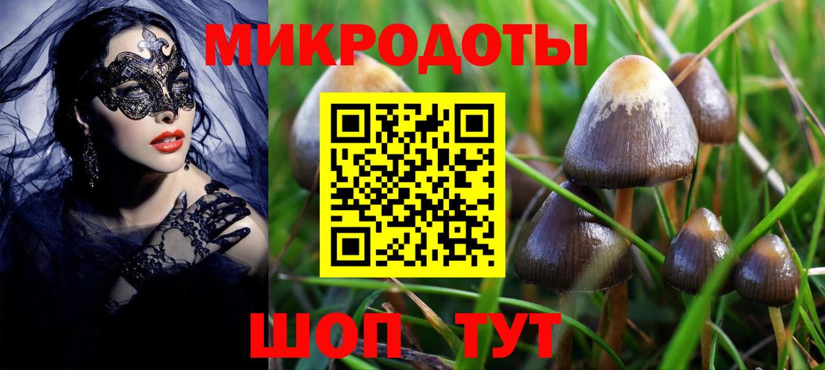 Псилоцибиновые грибы ЛСД  Вход с VPN  Псилоцибиновые грибы MAGIC MUSHROOMS  Усть-Илимск 