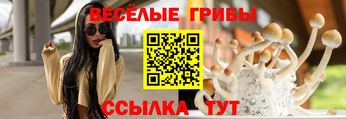 Галлюциногенные грибы прущие грибы Усть-Илимск